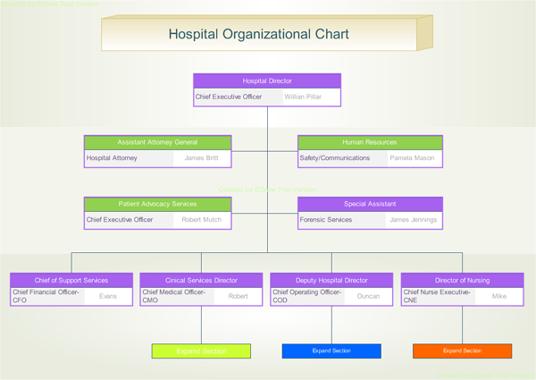 Financial Services Organizational Chart