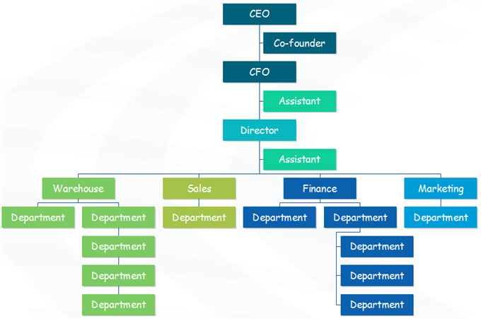 company organization chart