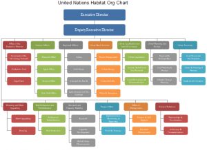 united-nations-habitat-org-chart